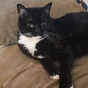 Meet your Posher, Sheila